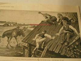 painokuva juhlälsning 1909  katolla