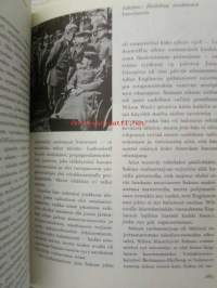 Tuntemattomat sotilaat 1914-1918