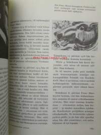 Tuntemattomat sotilaat 1914-1918