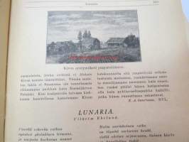 Nuori Voima - Suomen nuorison aikakauslehti 1924 vuosikerta 1924 irtonumeroina - täydellinen, katso tarkemmin kuvista mm. kaikki artikkelit / kirjoittajat /