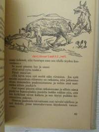 Hupaisia tarinoita Metsolan väestä