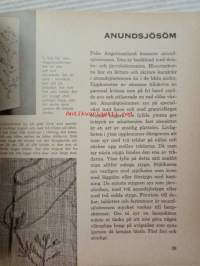 Handarbetsboken - Blå serien