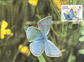 Maksimikortti N:o 11 : Punainen Risti 1990 - perhosia 2/3 Hopeasinisiipi