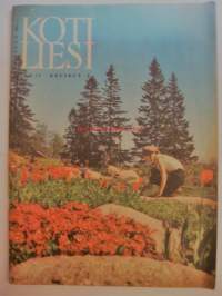 Kotiliesi 1962 nr 11 Kansi Kevättulppaanit, voiko oppia rakastamaan, talo isältä pojalle,marjakauden herkkuja, kevyttä kesäruokaa kesän juhliin, kylvämme