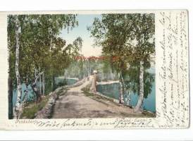 Punkaharju   - paikkakuntapostikortti postikortti kulkenut 1903