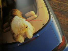 Volvo C70 -myyntiesite