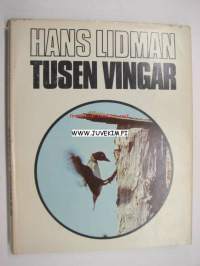 Tusen vingar