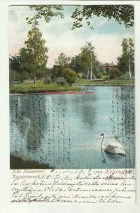 Helsinki Kaisaniemestä - paikkakuntapostikortti postikortti kulkenut 1904 merkki pois