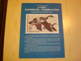 Waterfowl Conservation, Post on Bulletin Board, 1968, USA, lintu.