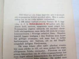 97 sätt att tillaga svamp -sienireseptejä