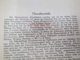 Die Gallwespen (Cynipiden) Mitteleuropas, insbesondere Deutschlands -hyönteiskirja, kuvataulut tallella