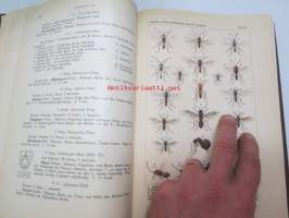 Die Gallwespen (Cynipiden) Mitteleuropas, insbesondere Deutschlands -hyönteiskirja, kuvataulut tallella
