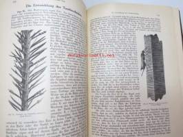 Die Gallwespen (Cynipiden) Mitteleuropas, insbesondere Deutschlands -hyönteiskirja, kuvataulut tallella