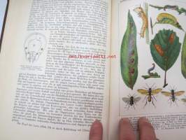 Die Gallwespen (Cynipiden) Mitteleuropas, insbesondere Deutschlands -hyönteiskirja, kuvataulut tallella