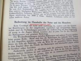 Die Gallwespen (Cynipiden) Mitteleuropas, insbesondere Deutschlands -hyönteiskirja, kuvataulut tallella