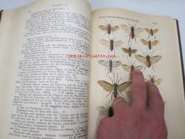 Die Gallwespen (Cynipiden) Mitteleuropas, insbesondere Deutschlands -hyönteiskirja, kuvataulut tallella