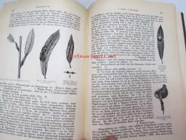Die Gallwespen (Cynipiden) Mitteleuropas, insbesondere Deutschlands -hyönteiskirja, kuvataulut tallella