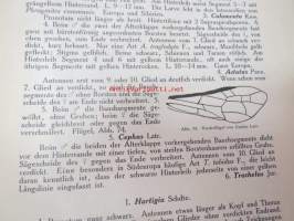Die Gallwespen (Cynipiden) Mitteleuropas, insbesondere Deutschlands -hyönteiskirja, kuvataulut tallella