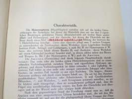 Die Ameisen (Formicidiae) Mitteleuropas, insbesondere Deutschlands -hyönteiskirja, kuvataulut tallella