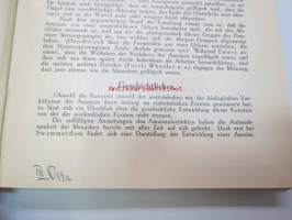 Die Ameisen (Formicidiae) Mitteleuropas, insbesondere Deutschlands -hyönteiskirja, kuvataulut tallella