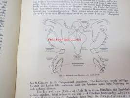 Die Ameisen (Formicidiae) Mitteleuropas, insbesondere Deutschlands -hyönteiskirja, kuvataulut tallella