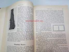 Die Ameisen (Formicidiae) Mitteleuropas, insbesondere Deutschlands -hyönteiskirja, kuvataulut tallella