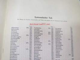 Die Ameisen (Formicidiae) Mitteleuropas, insbesondere Deutschlands -hyönteiskirja, kuvataulut tallella
