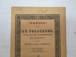 Notice sur Le Phlocerus, genre nouveau d&#039;orthoptéres De La Russie, par Gotthelf Fischer de Waldheim. Avec un planche.. Moscou, 1833 -Moskovassa 1833 painettu