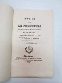 Notice sur Le Phlocerus, genre nouveau d&#039;orthoptéres De La Russie, par Gotthelf Fischer de Waldheim. Avec un planche.. Moscou, 1833 -Moskovassa 1833 painettu