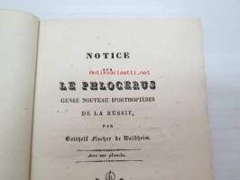 Notice sur Le Phlocerus, genre nouveau d&#039;orthoptéres De La Russie, par Gotthelf Fischer de Waldheim. Avec un planche.. Moscou, 1833 -Moskovassa 1833 painettu