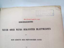 Beschreibung Neuer oder Wenig Bekannter Blattwespen aus dem Gebiete der Preussischen Fauna von Dr. Gustav Zaddach, Königsberg, 1859 -tieteellinen tutkielma, 1