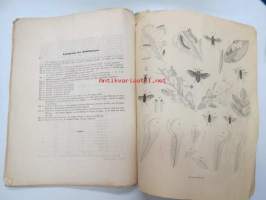 Beschreibung Neuer oder Wenig Bekannter Blattwespen aus dem Gebiete der Preussischen Fauna von Dr. Gustav Zaddach, Königsberg, 1859 -tieteellinen tutkielma, 1