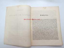 Neue Beiträge zur Kentniss der Dipteren, Dritter Beitrag, Berlin 1855 -saksankielinen hyönteistieteellinen tutkimus -scientific publication in german
