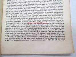 Neue Beiträge zur Kentniss der Dipteren, Dritter Beitrag, Berlin 1855 -saksankielinen hyönteistieteellinen tutkimus -scientific publication in german