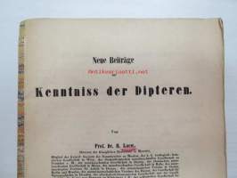 Neue Beiträge zur Kentniss der Dipteren, Achter Beitrag, Berlin 185? -saksankielinen hyönteistieteellinen tutkimus -scientific publication in german