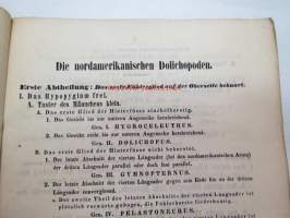 Neue Beiträge zur Kentniss der Dipteren, Achter Beitrag, Berlin 185? -saksankielinen hyönteistieteellinen tutkimus -scientific publication in german