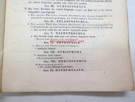 Neue Beiträge zur Kentniss der Dipteren, Achter Beitrag, Berlin 185? -saksankielinen hyönteistieteellinen tutkimus -scientific publication in german