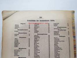 Neue Beiträge zur Kentniss der Dipteren, Achter Beitrag, Berlin 185? -saksankielinen hyönteistieteellinen tutkimus -scientific publication in german