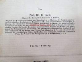 Neue Beiträge zur Kentniss der Dipteren, Fünfter Beitrag, Berlin 1857 -saksankielinen hyönteistieteellinen tutkimus -scientific publication in german