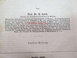 Neue Beiträge zur Kentniss der Dipteren, Fünfter Beitrag, Berlin 1857 -saksankielinen hyönteistieteellinen tutkimus -scientific publication in german