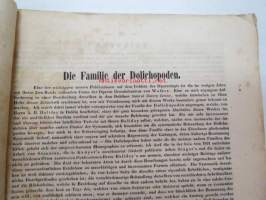 Neue Beiträge zur Kentniss der Dipteren, Fünfter Beitrag, Berlin 1857 -saksankielinen hyönteistieteellinen tutkimus -scientific publication in german