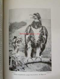 Lebensbilder aus der Tierwelt - Vögel 1, Linnut 1, katso sisältöä kuvista tarkemmin