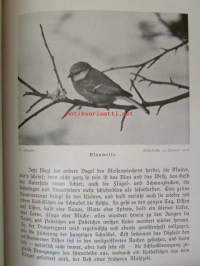Lebensbilder aus der Tierwelt - Vögel 1, Linnut 1, katso sisältöä kuvista tarkemmin