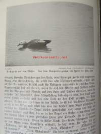 Lebensbilder aus der Tierwelt - Vögel 3, Linnut 3, katso sisältöä kuvista tarkemmin