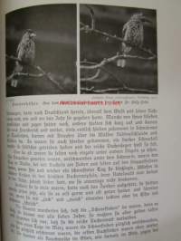 Lebensbilder aus der Tierwelt - Vögel 3, Linnut 3, katso sisältöä kuvista tarkemmin