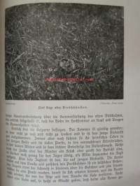 Lebensbilder aus der Tierwelt - Vögel 3, Linnut 3, katso sisältöä kuvista tarkemmin