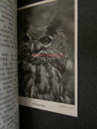 Lebensbilder aus der Tierwelt - Vögel 3, Linnut 3, katso sisältöä kuvista tarkemmin