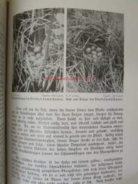Lebensbilder aus der Tierwelt - Vögel 3, Linnut 3, katso sisältöä kuvista tarkemmin