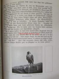 Lebensbilder aus der Tierwelt - Vögel 3, Linnut 3, katso sisältöä kuvista tarkemmin