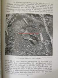 Lebensbilder aus der Tierwelt - Vögel 3, Linnut 3, katso sisältöä kuvista tarkemmin